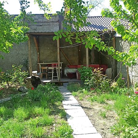 אודסה Дом У Моря С Бассейном И Сауной מראה חיצוני תמונה